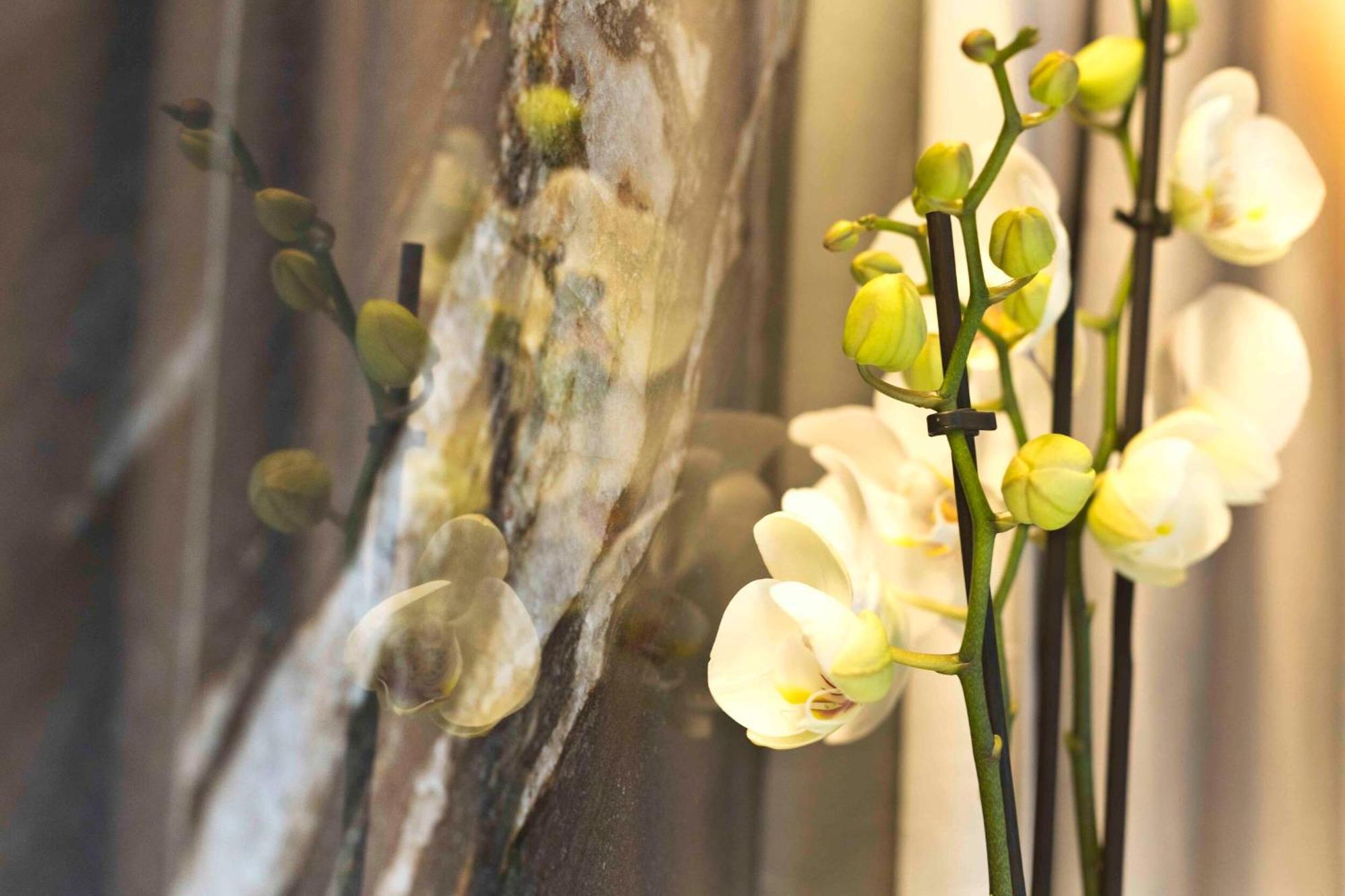 Boutique Hotel Сирмионе Экстерьер фото