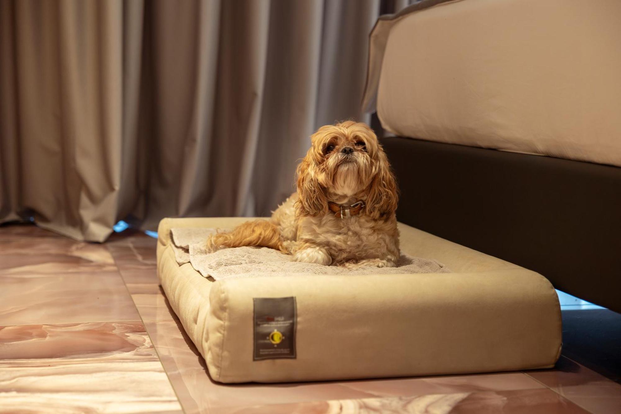 Boutique Hotel Сирмионе Экстерьер фото